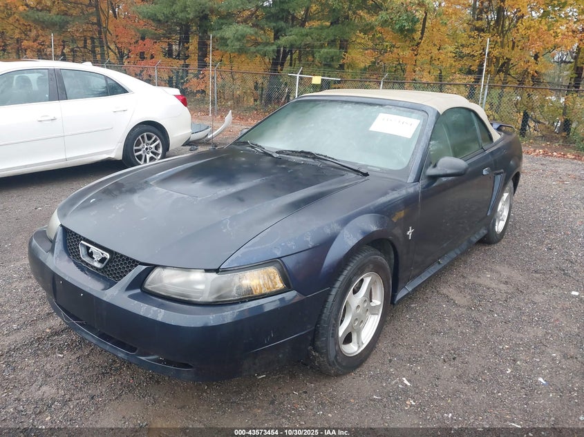 2003 Ford Mustang VIN: 1FAFP44453F338785 Lot: 43573454