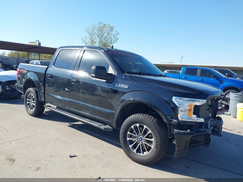 2019 FORD F-150 XLT - 1FTEW1EP7KKF18114