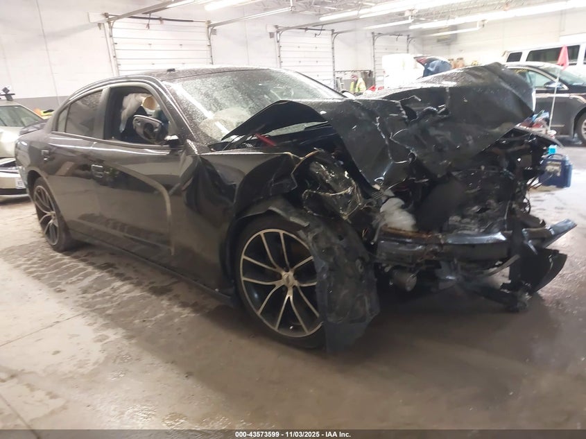 2013 DODGE CHARGER POLICE - 2C3CDXAT8DH546716