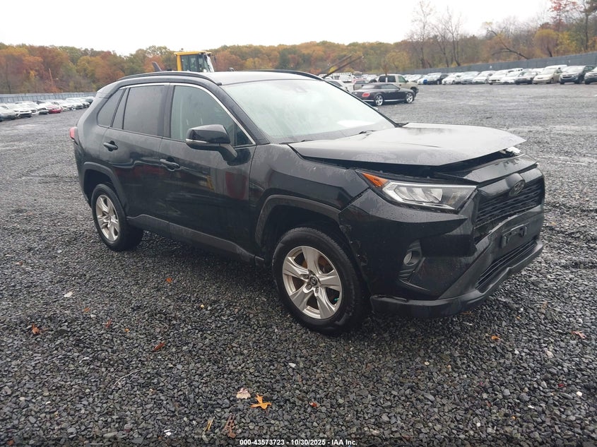 TOYOTA RAV4 XLE