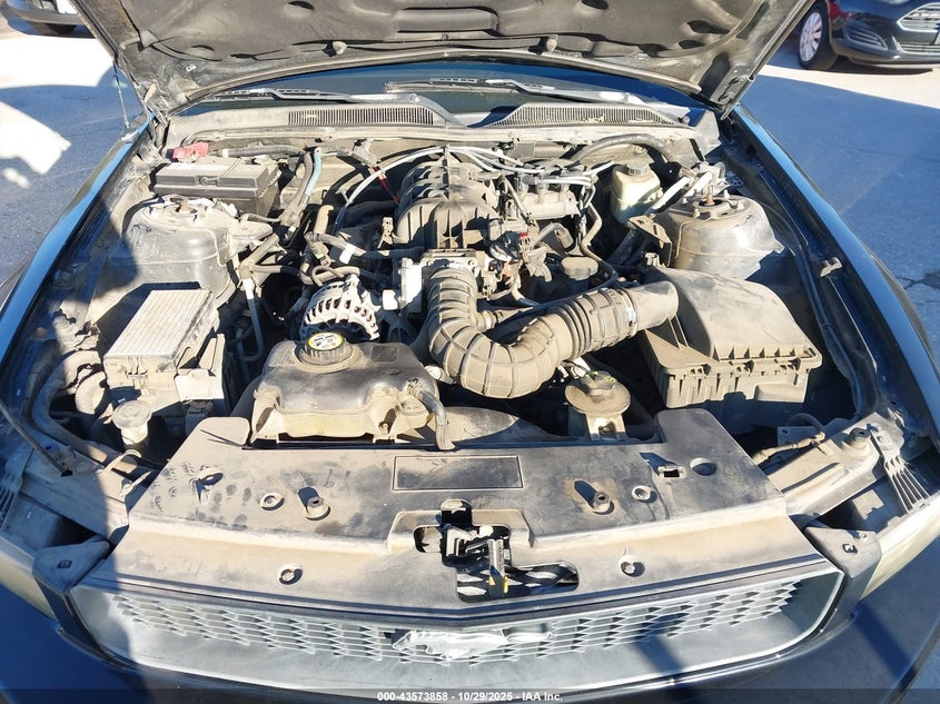 2006 Ford Mustang V6 VIN: 1ZVFT80N665130711 Lot: 43573858