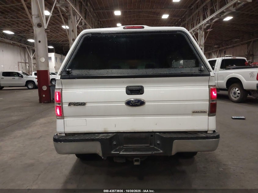 2014 FORD F-150 XL 1FTNF1CF4EKE01220