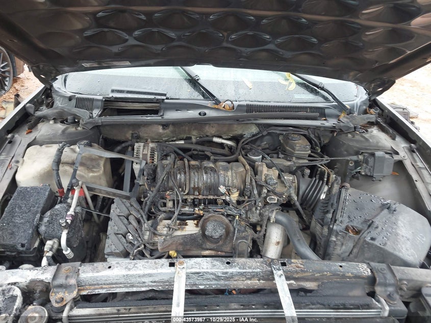 2003 Buick Lesabre Custom VIN: 1G4HP52K13U259325 Lot: 43573967