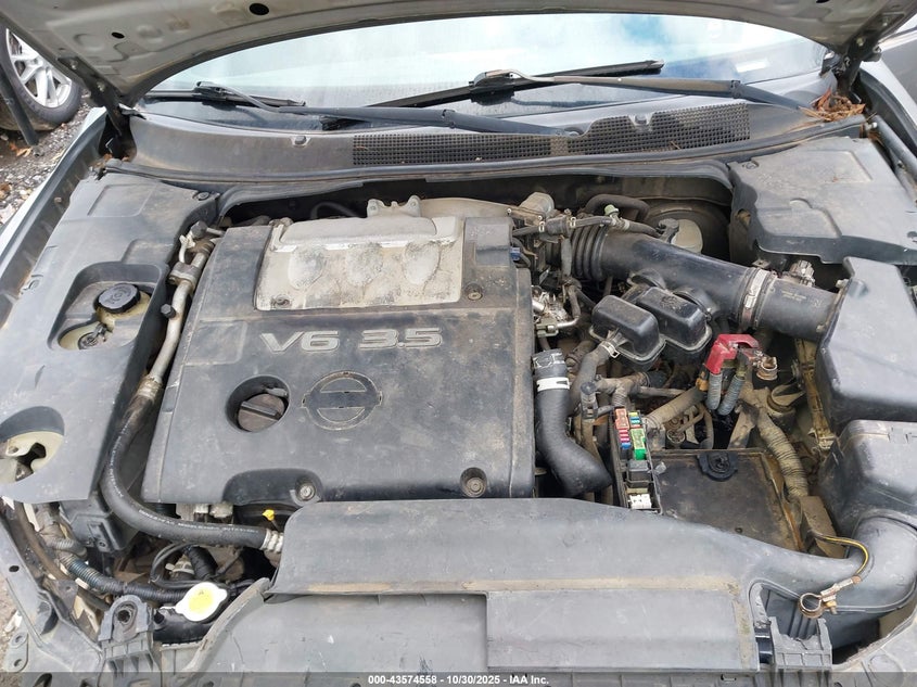 2006 Nissan Maxima 3.5 Sl VIN: 1N4BA41E56C825990 Lot: 43574558