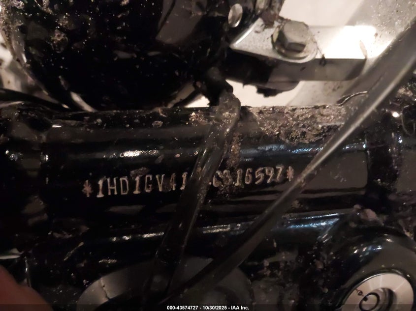 2010 Harley-Davidson Fxdc VIN: 1HD1GV418AC316597 Lot: 43574727