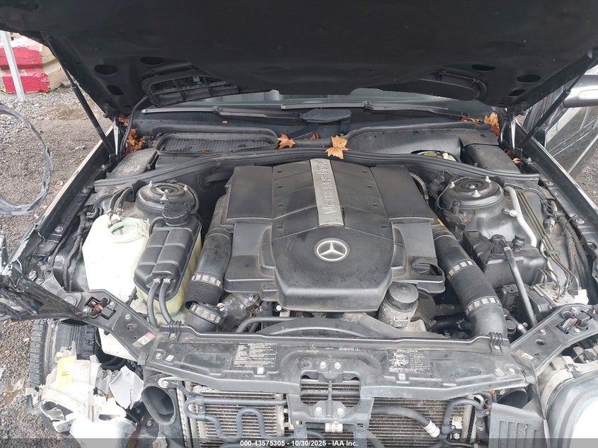 2004 Mercedes-Benz Cl 500 VIN: WDBPJ75J14A039782 Lot: 43575305