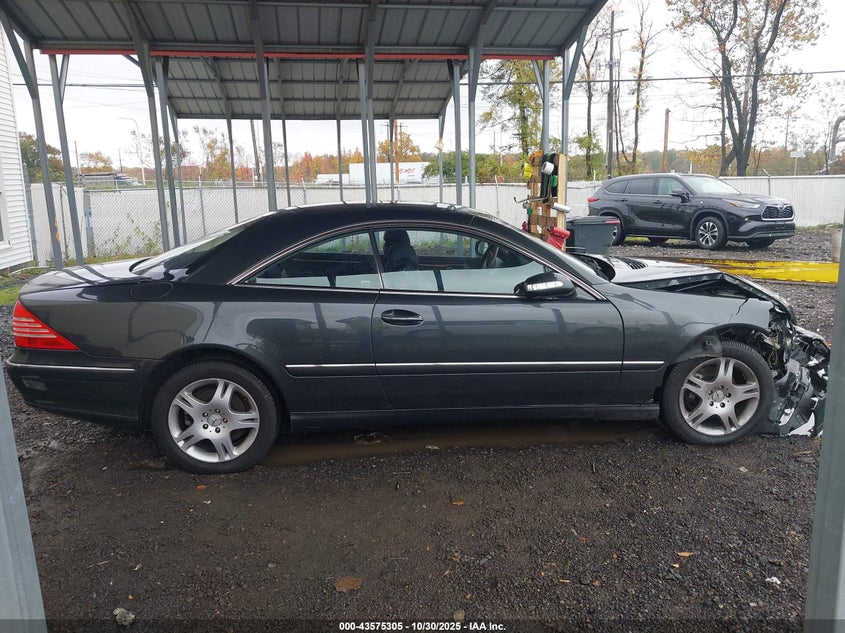 2004 Mercedes-Benz Cl 500 VIN: WDBPJ75J14A039782 Lot: 43575305
