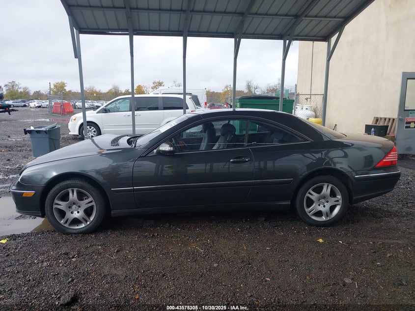 2004 Mercedes-Benz Cl 500 VIN: WDBPJ75J14A039782 Lot: 43575305