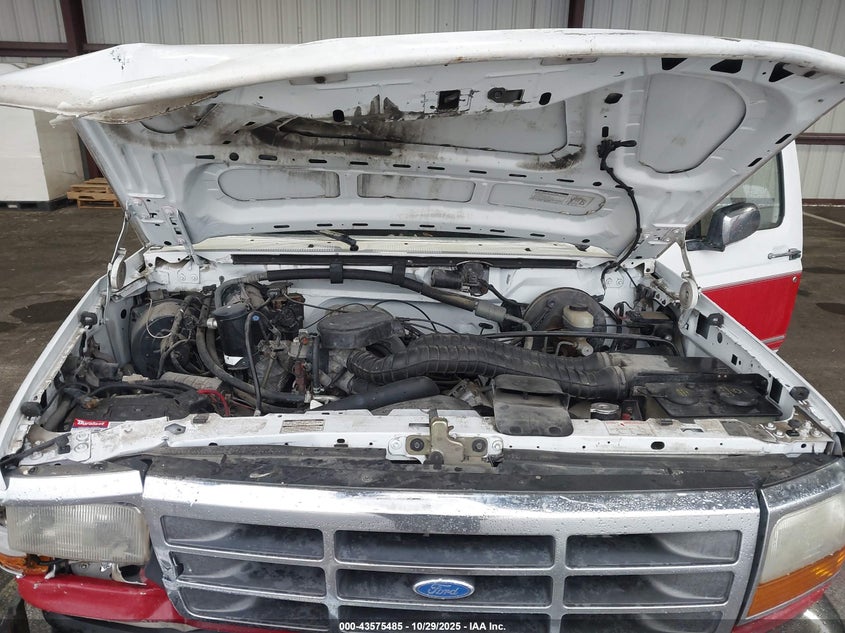 1993 Ford F150 VIN: 1FTDF15N5PNA60203 Lot: 43575485