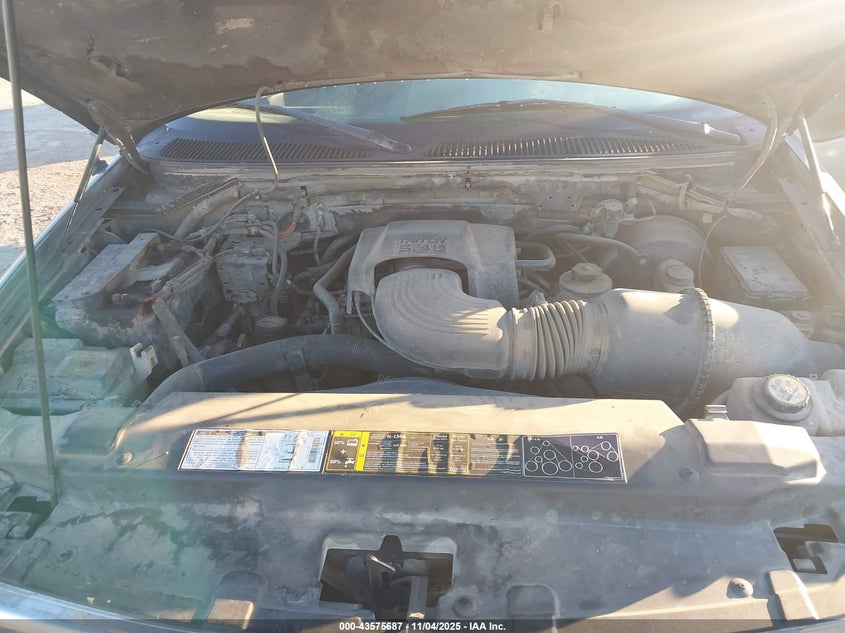 2002 Ford F-150 Lariat/Xlt VIN: 1FTRW07L62KA85729 Lot: 43575687