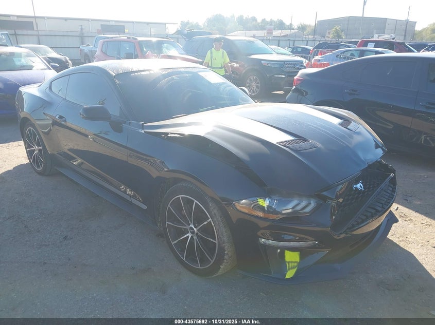 FORD MUSTANG ECOBOOST FASTBACK