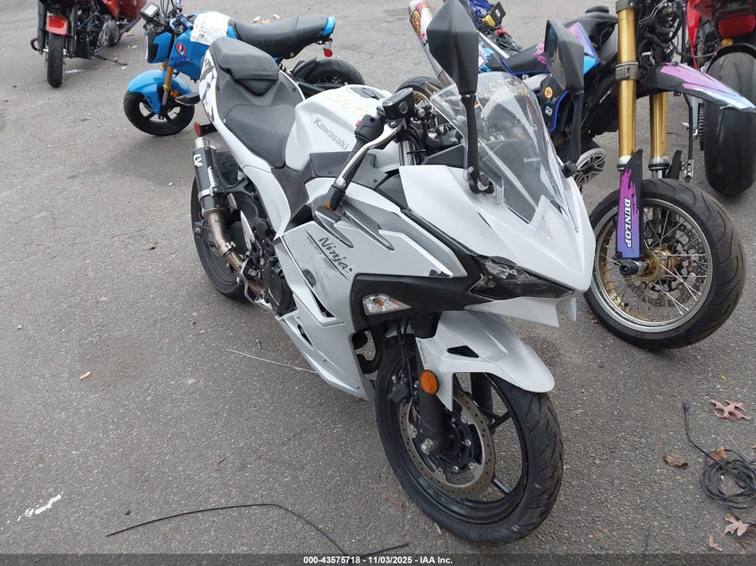 2024 KAWASAKI EX500 - ML5EXGG16RDA25156