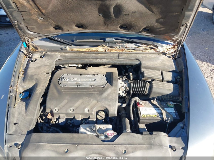 2006 Acura Tl VIN: 19UUA66296A028622 Lot: 43576509