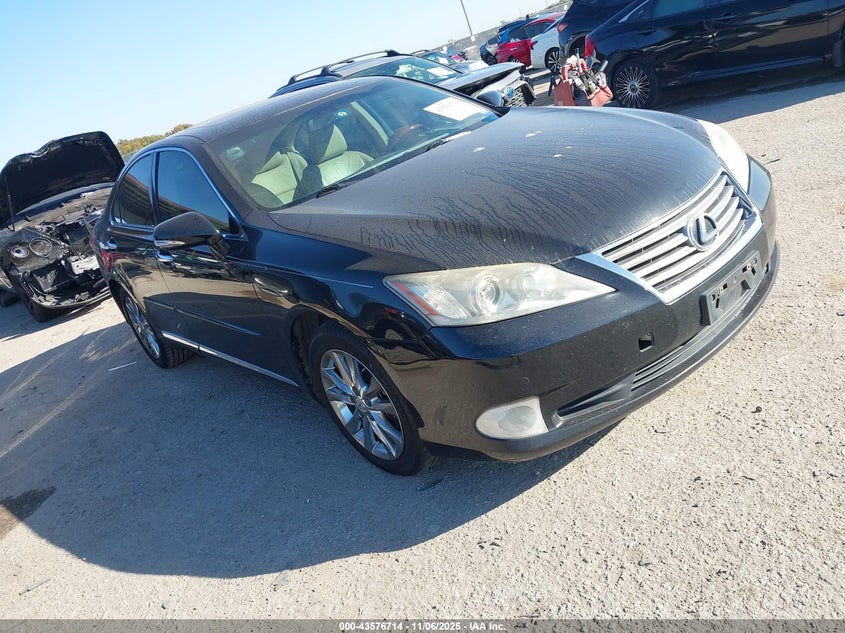 LEXUS ES 350 ES 350