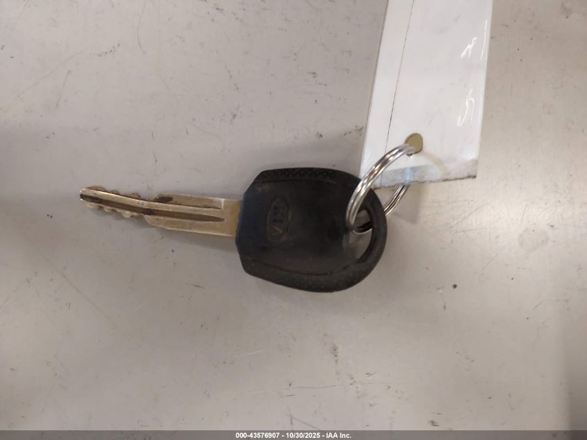 2004 Kia Sorento Ex/Lx VIN: KNDJD733145193047 Lot: 43576907