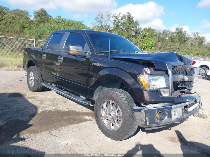 FORD F-150 XLT