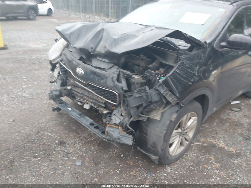 2017 KIA SPORTAGE LX KNDPMCAC5H7055253