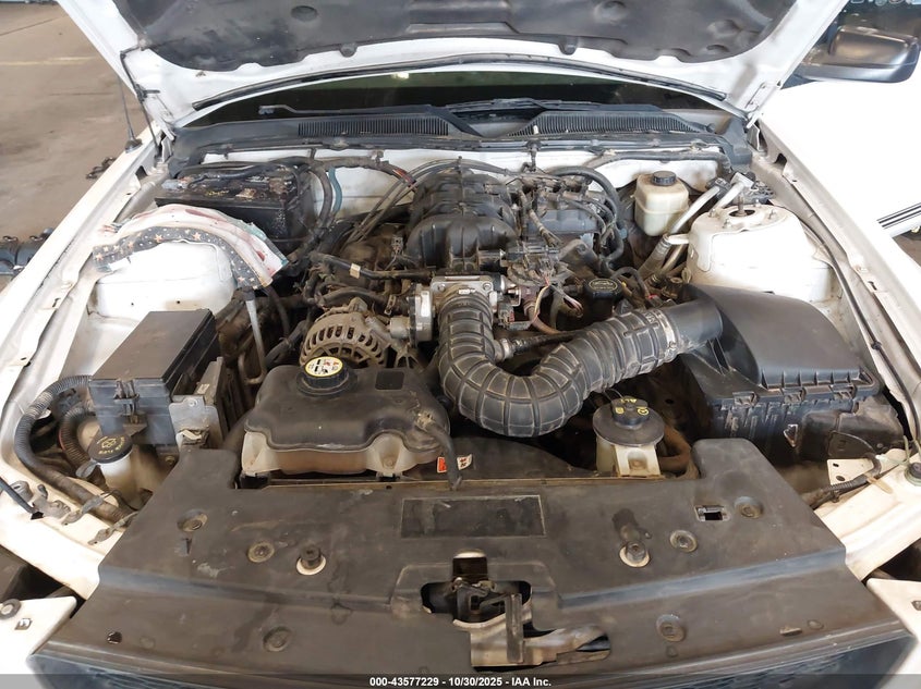 2008 Ford Mustang V6 Deluxe/V6 Premium VIN: 1ZVHT84N585178948 Lot: 43577229