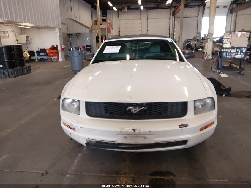 2008 Ford Mustang V6 Deluxe/V6 Premium VIN: 1ZVHT84N585178948 Lot: 43577229
