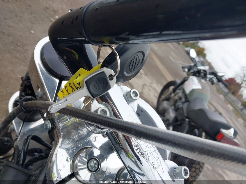 2019 Harley-Davidson Flsb VIN: 1HD1YMJ23KB064253 Lot: 43577489