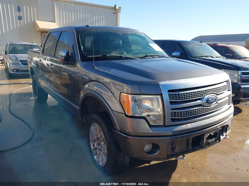 FORD F-150 FX4/HARLEY-DAVIDSON/KING RANCH/LARIAT/PLATINUM/XL/XLT