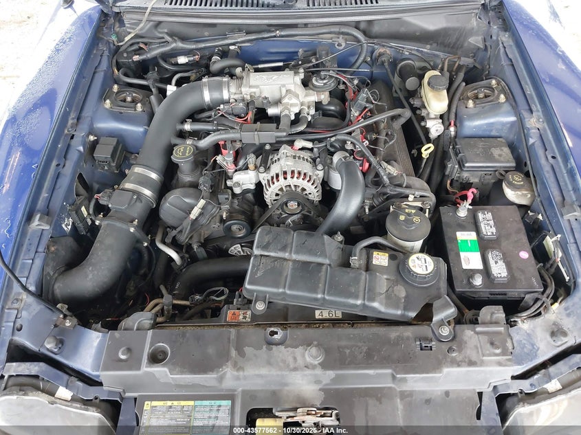 2003 Ford Mustang Gt VIN: 1FAFP42X73F445107 Lot: 43577562