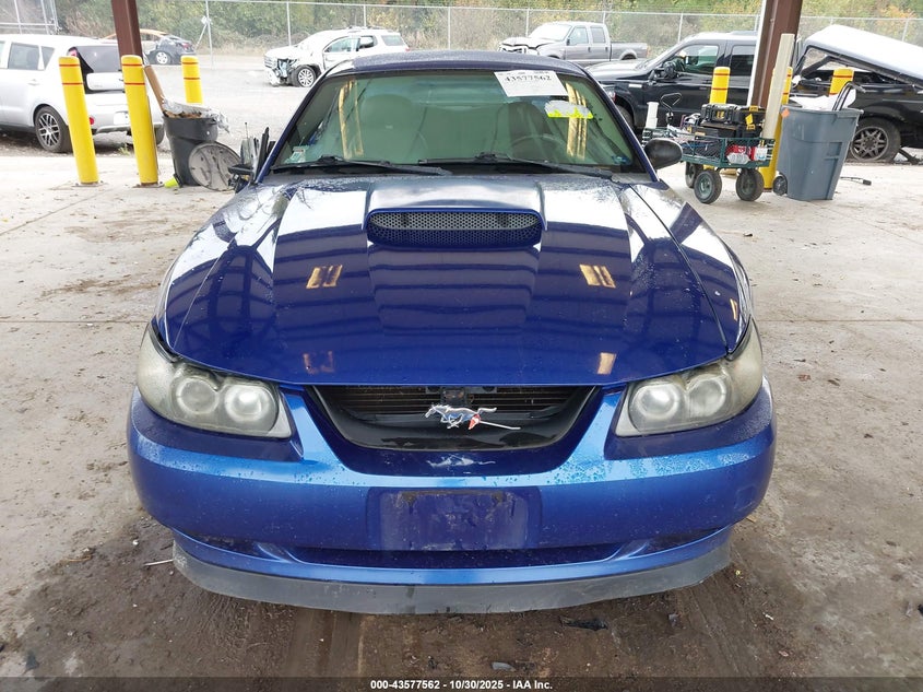 2003 Ford Mustang Gt VIN: 1FAFP42X73F445107 Lot: 43577562