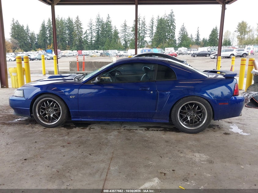 2003 Ford Mustang Gt VIN: 1FAFP42X73F445107 Lot: 43577562