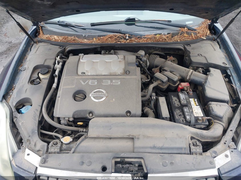 2005 Nissan Maxima 3.5 Se VIN: 1N4BA41E55C862486 Lot: 43577658