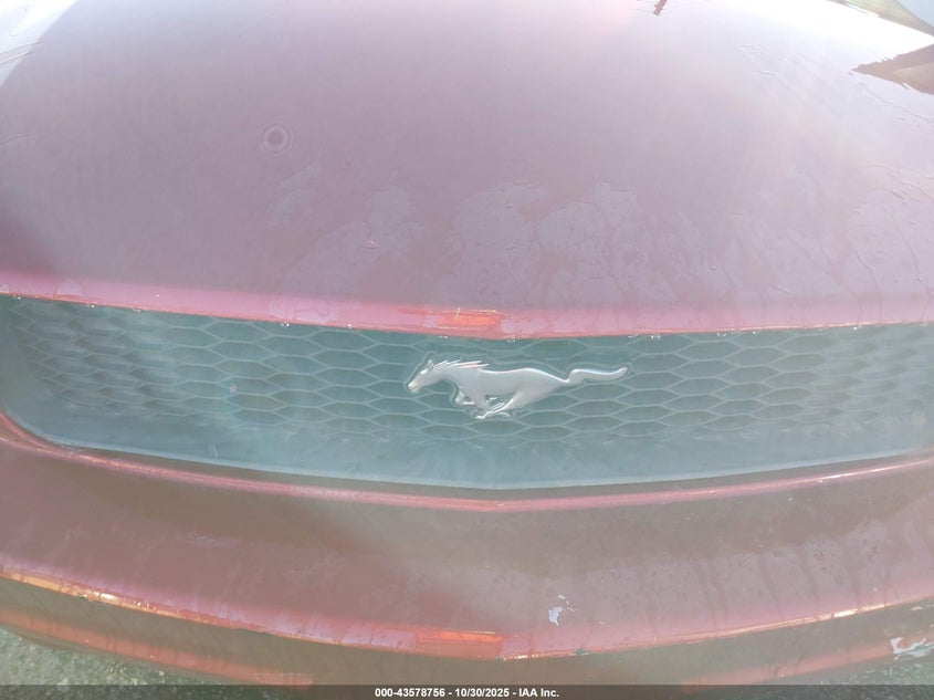 2006 Ford Mustang V6 VIN: 1ZVFT80N365128527 Lot: 43578756