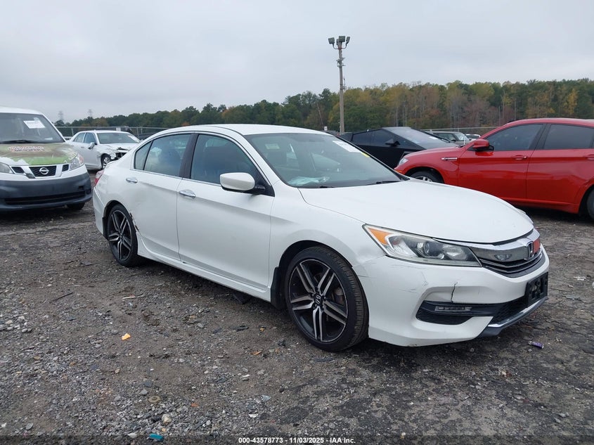 HONDA ACCORD SPORT SE