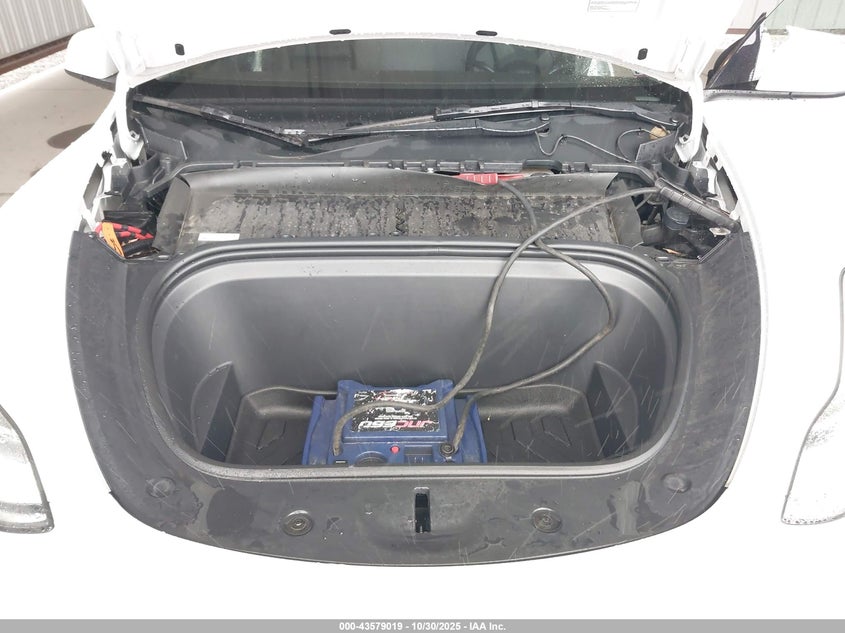 2023 Tesla Model Y Awd/Long Range Dual Motor All-Wheel Drive VIN: 7SAYGDEE6PF597812 Lot: 43579019