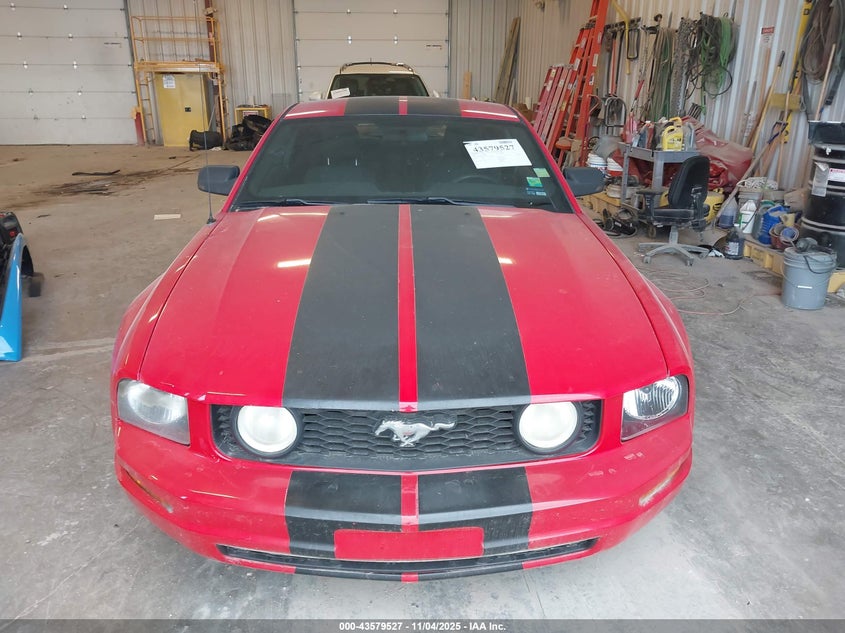 1ZVFT80N255233817 2005 FORD MUSTANG photo no. 6