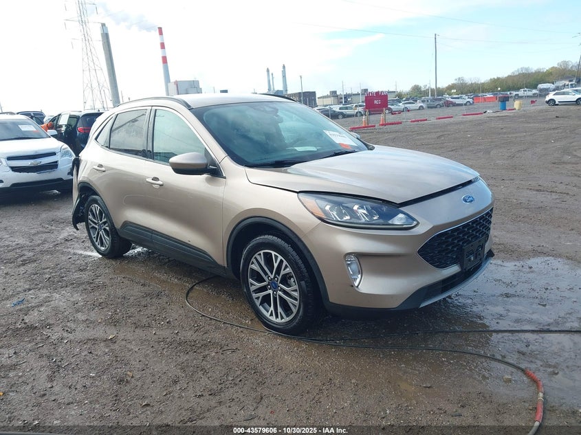 FORD ESCAPE SEL
