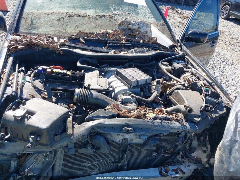 2004 Lexus Ls 430 VIN: JTHBN36F840130717 Lot: 43579653