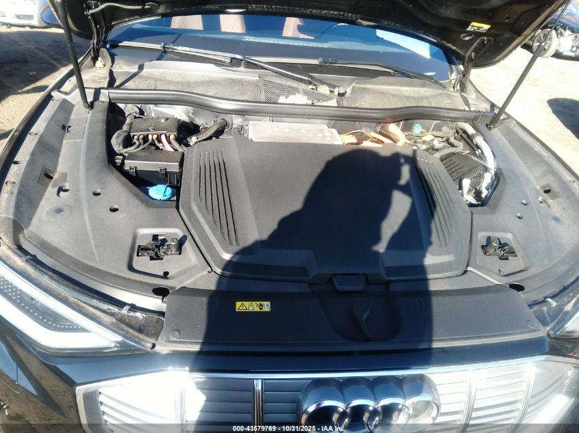 2022 Audi E-Tron Premium Quattro VIN: WA1AAAGE0NB004791 Lot: 43579769