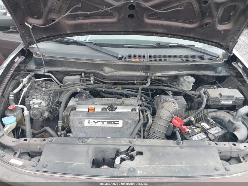 2007 Honda Element Sc VIN: 5J6YH18967L012063 Lot: 43579979