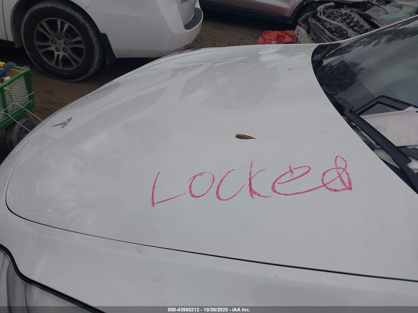 2021 Tesla Model Y Performance Dual Motor All-Wheel Drive VIN: 5YJYGDEF5MF073116 Lot: 43580212