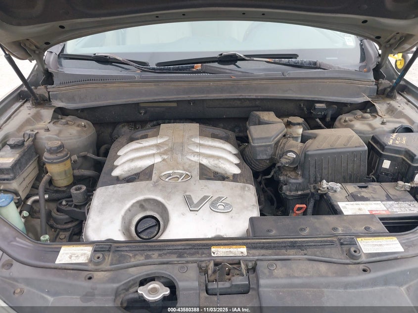 5NMSH13E77H037359 2007 HYUNDAI SANTA FE photo no. 10
