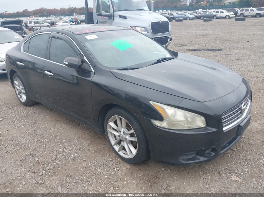 NISSAN MAXIMA 3.5 SV