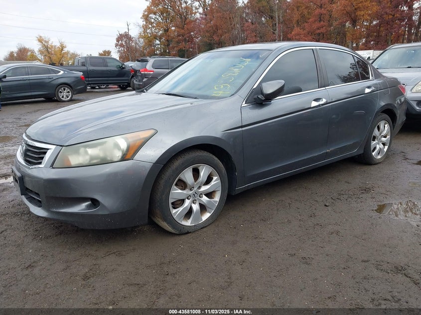 5KBCP3F83AB001316 2010 HONDA ACCORD photo no. 2