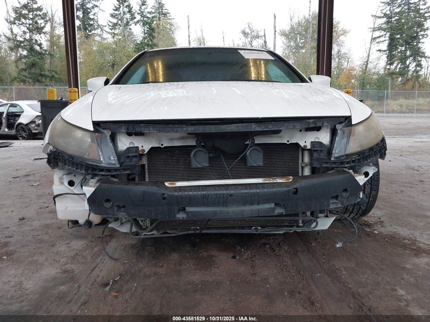 1HGCS21888A800267 2008 HONDA ACCORD photo no. 6