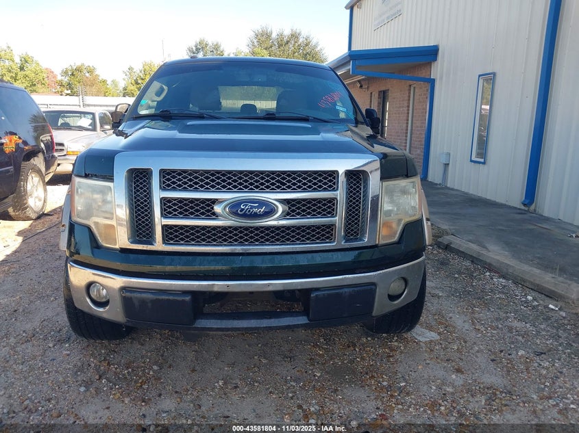 2013 Ford F-150 Xlt VIN: 1FTFW1CF1DKE10315 Lot: 43581804