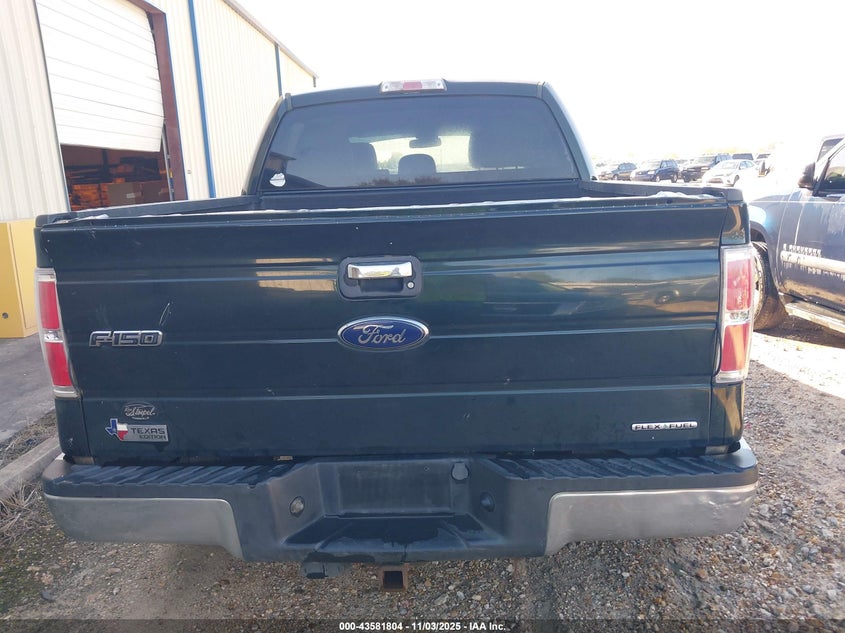 2013 Ford F-150 Xlt VIN: 1FTFW1CF1DKE10315 Lot: 43581804