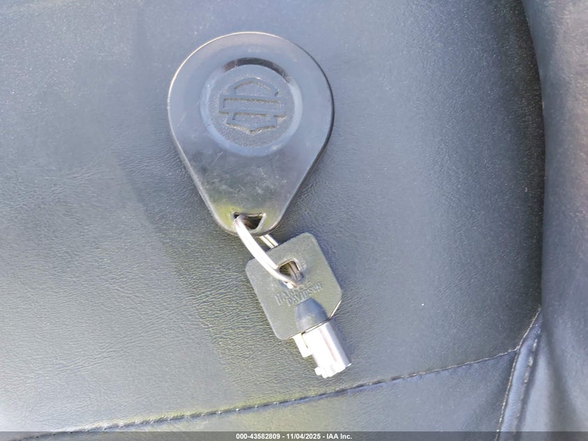 2021 Harley-Davidson Fltrxs VIN: 1HD1KTP19MB646757 Lot: 43582809