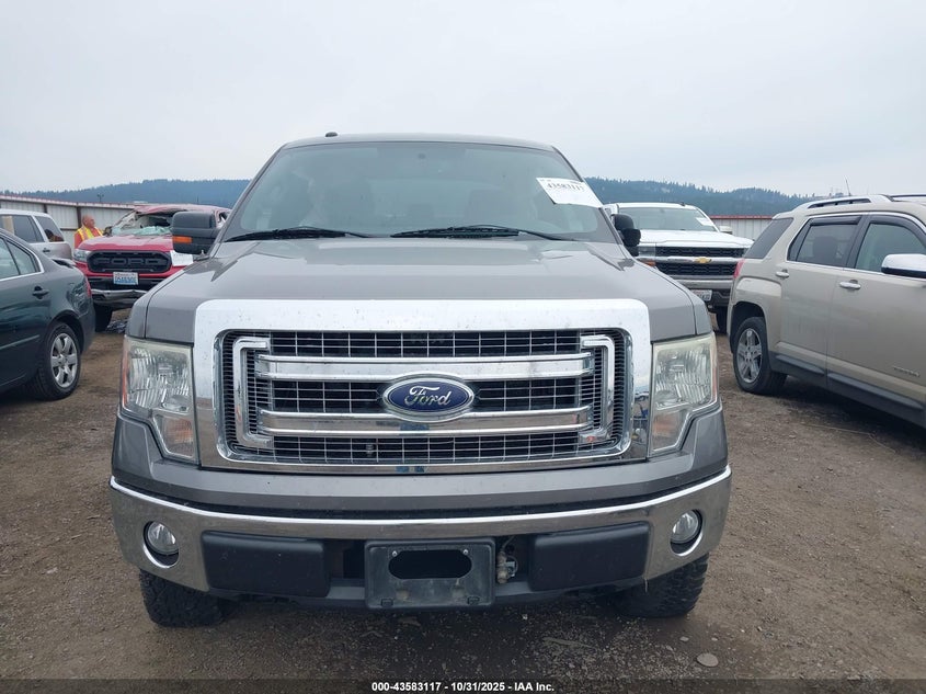 2014 Ford F-150 Xlt VIN: 1FTFW1EF6EFB12432 Lot: 43583117