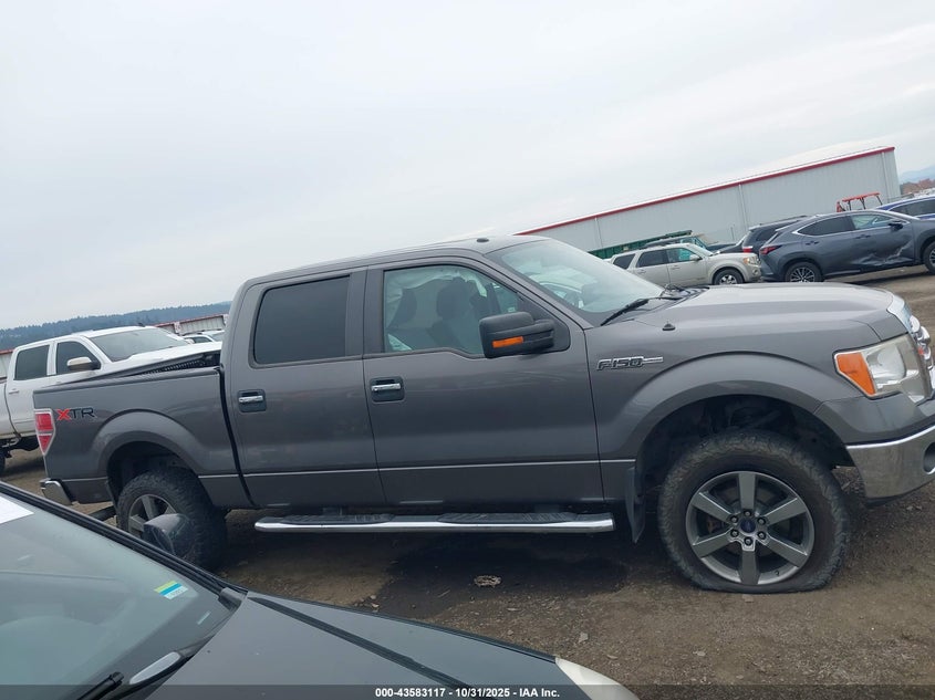 2014 Ford F-150 Xlt VIN: 1FTFW1EF6EFB12432 Lot: 43583117