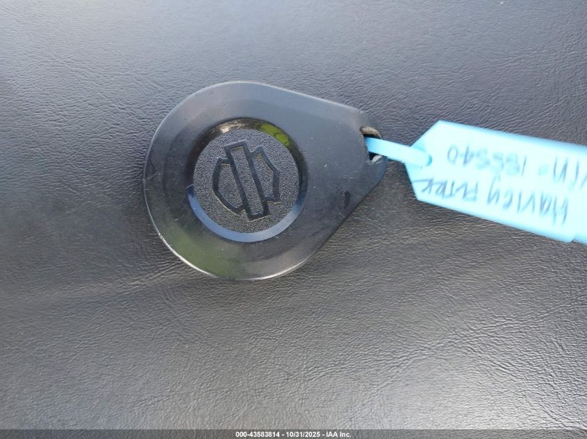 2024 Harley-Davidson Fltrk VIN: 1HD1KZF10RB615540 Lot: 43583814