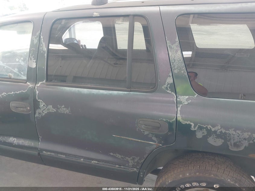 2000 Dodge Durango VIN: 1B4HR28Z8YF100313 Lot: 43583915