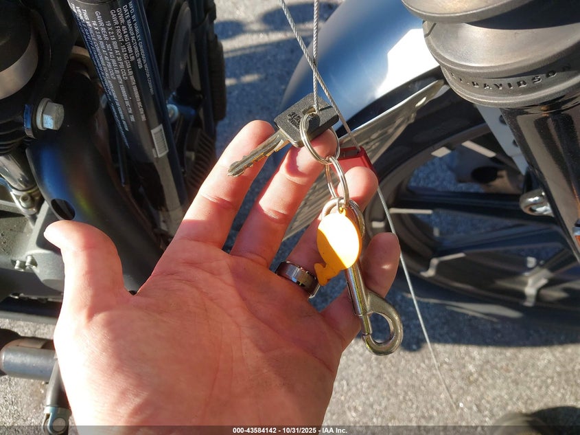 2020 Harley-Davidson Xl883 N VIN: 1HD4LE215LB437320 Lot: 43584142